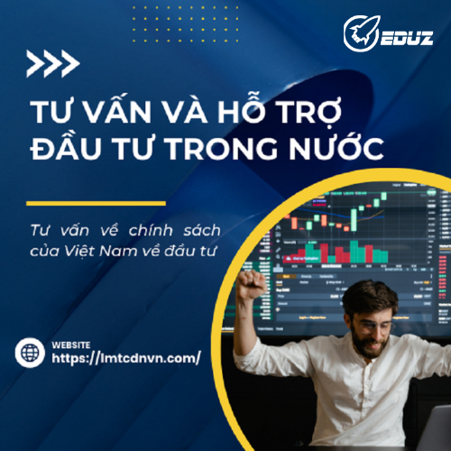 Tư Vấn Và Hỗ Trợ Đầu Tư Trong Nước